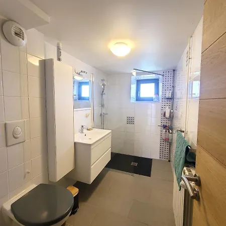 Appartement De 2 Chambres Avec Jardin Clos Et Wifi A Villers Les Nancy Apartmán